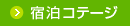�h���R�e�[�W