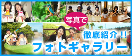 �t�H�g�M�������[