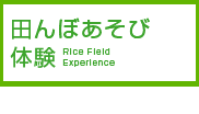 �c��ڂ����ё̌�