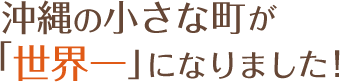  沖縄の小さな町が「世界一」になりました！