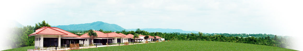 沖縄体験やカヌーやシーカヤック 沖縄の修学旅行や体験学習なら ネイチャーみらい館